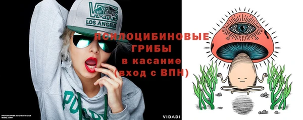 дмт Алзамай