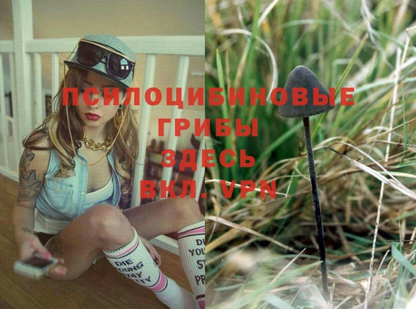 дмт Алзамай