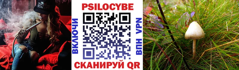 сколько стоит Азов Псилоцибиновые грибы GOLDEN TEACHER